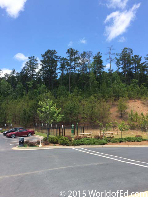 Trees on an inclined hill and cars parked in a parking lot.