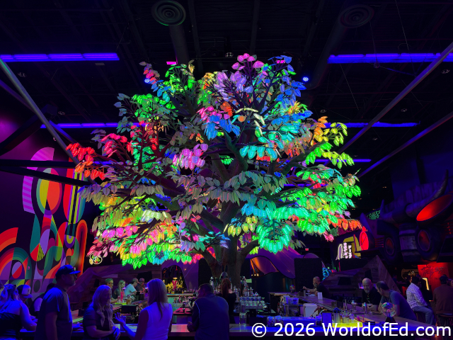 A tree bar in the center that is neon colors.