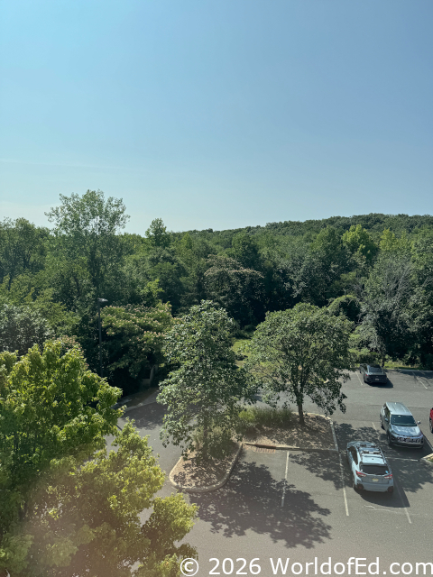 Woodlands across from a parking lot.