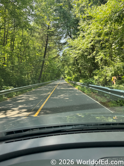 A road traversing a wooded path.