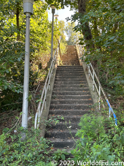 A wooded stairway.