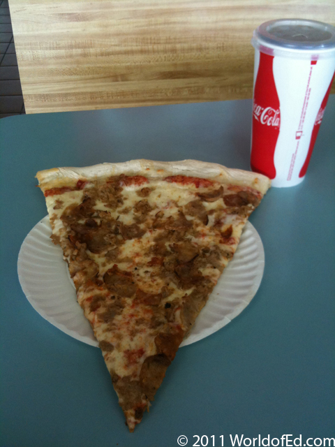 2 large pieces of pizza on a plate.