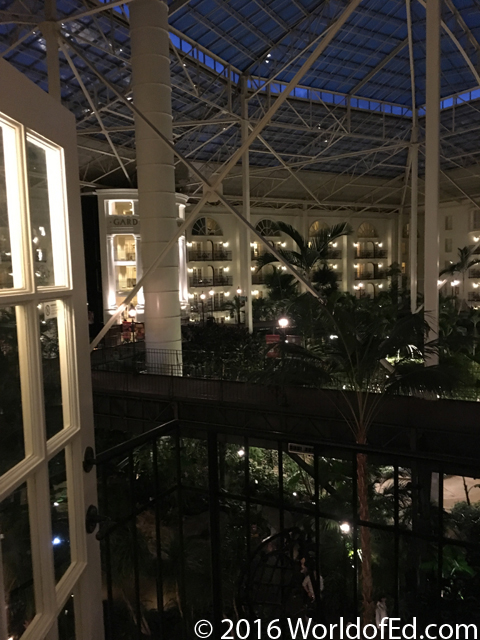 The interior of the Gaylord hotel from a room balcony.
