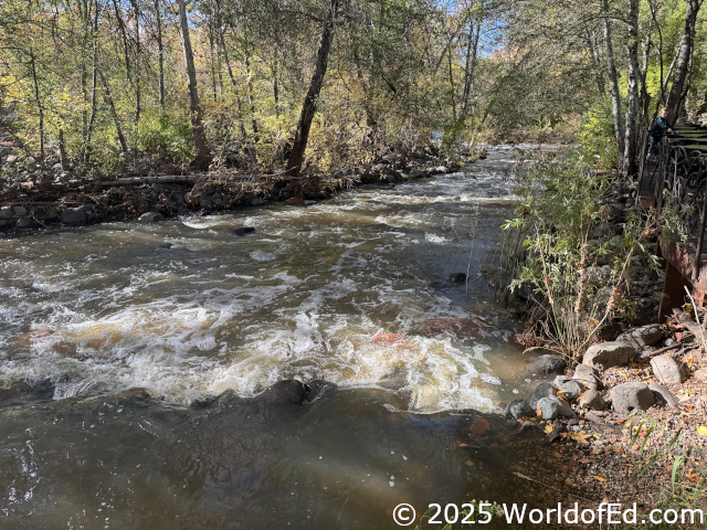 The creek at the bottom of the property.