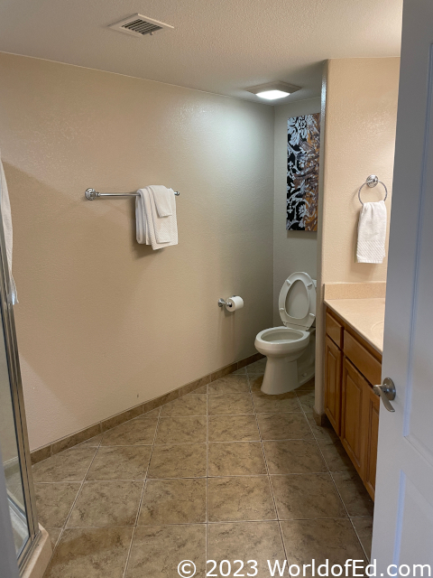 A large hotel bathroom.