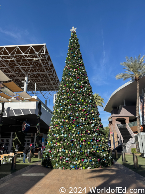 A christmas tree outdoors.